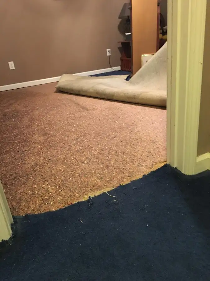 Carpet pad removal revealing water damage during Drying & Dehumidification in Downers Grove