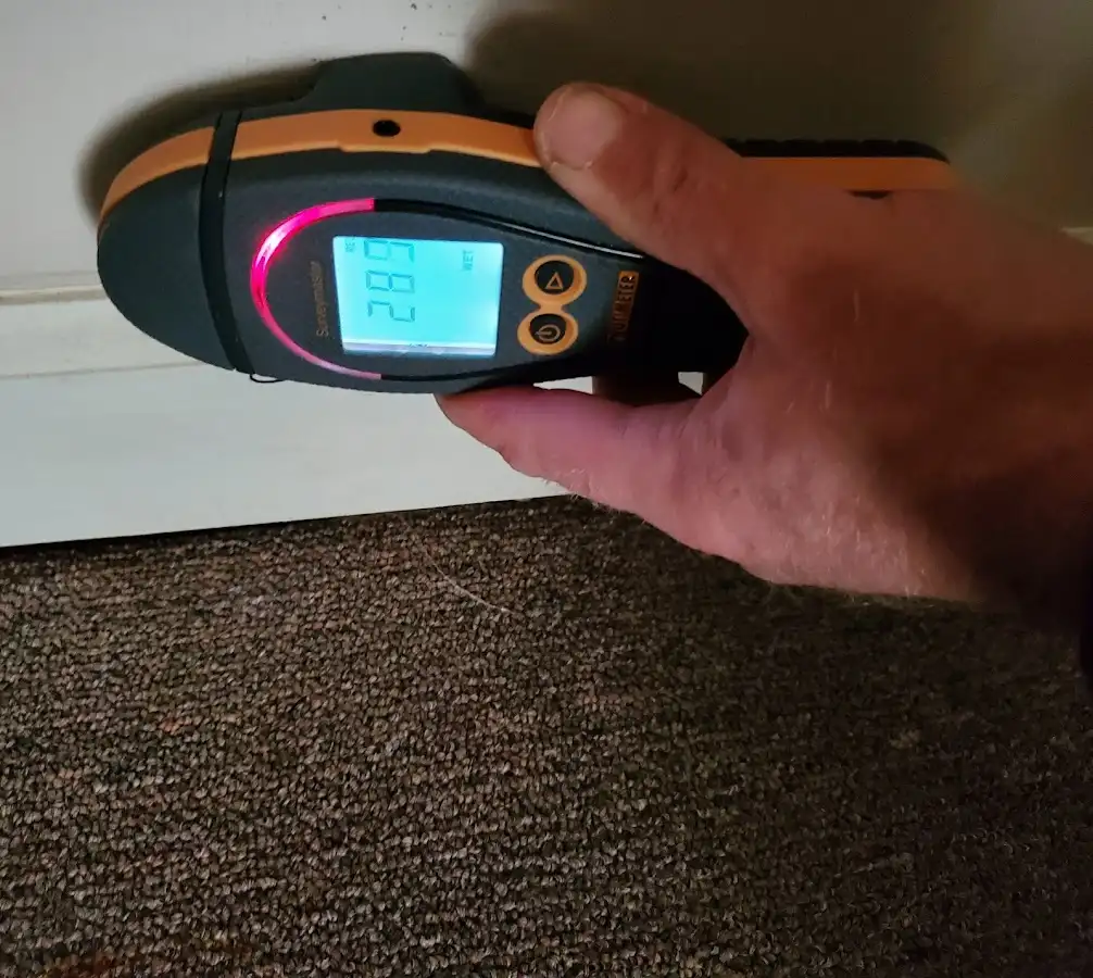 Moisture detection at baseboard during Sewage Cleanup & Sanitation in Downers Grove
